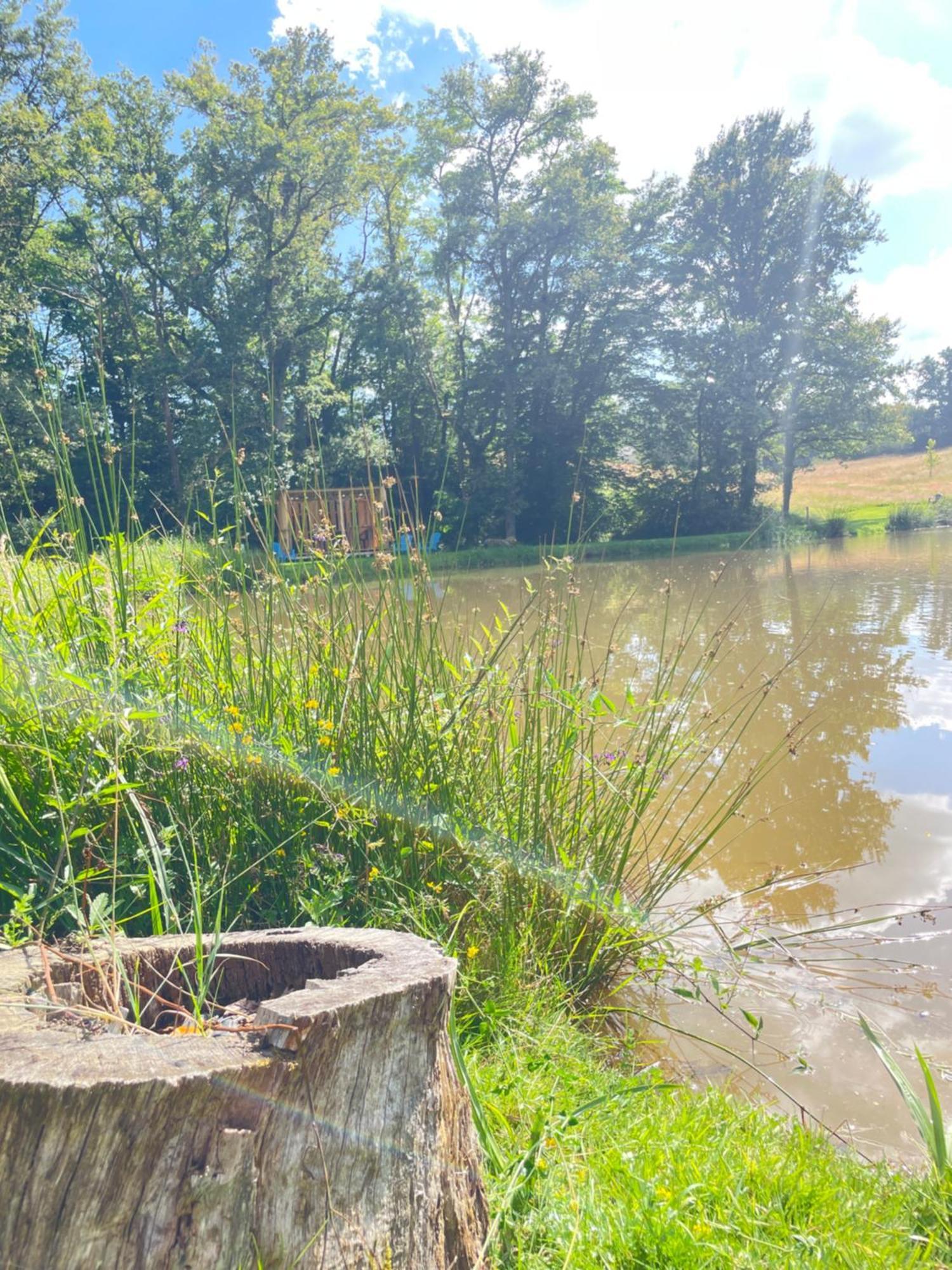 Gite Neuf Avec Jardin, Foret Et Etang Argenton Sur Creuse Экстерьер фото